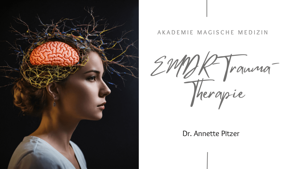 Akademie magische Medizin
EMDR-Trauma-Therapie