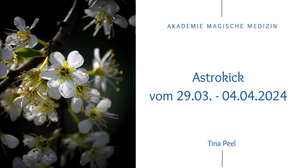 Akademie magische Medizin
Astrologie & Lebensberatung
Astrokick