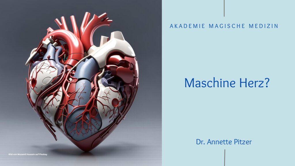 Akademie magische Medizin
Herz